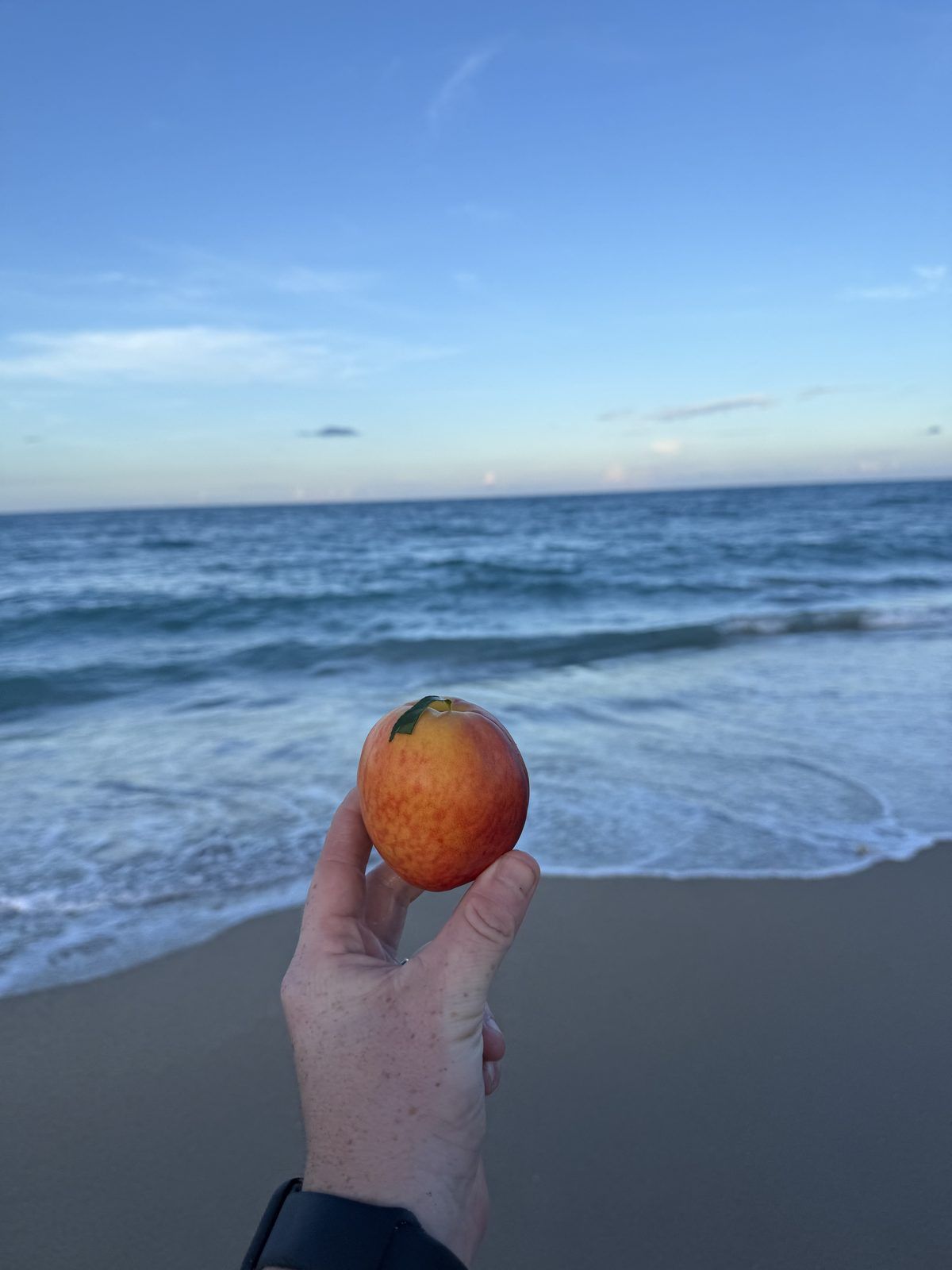 Peach at the beach