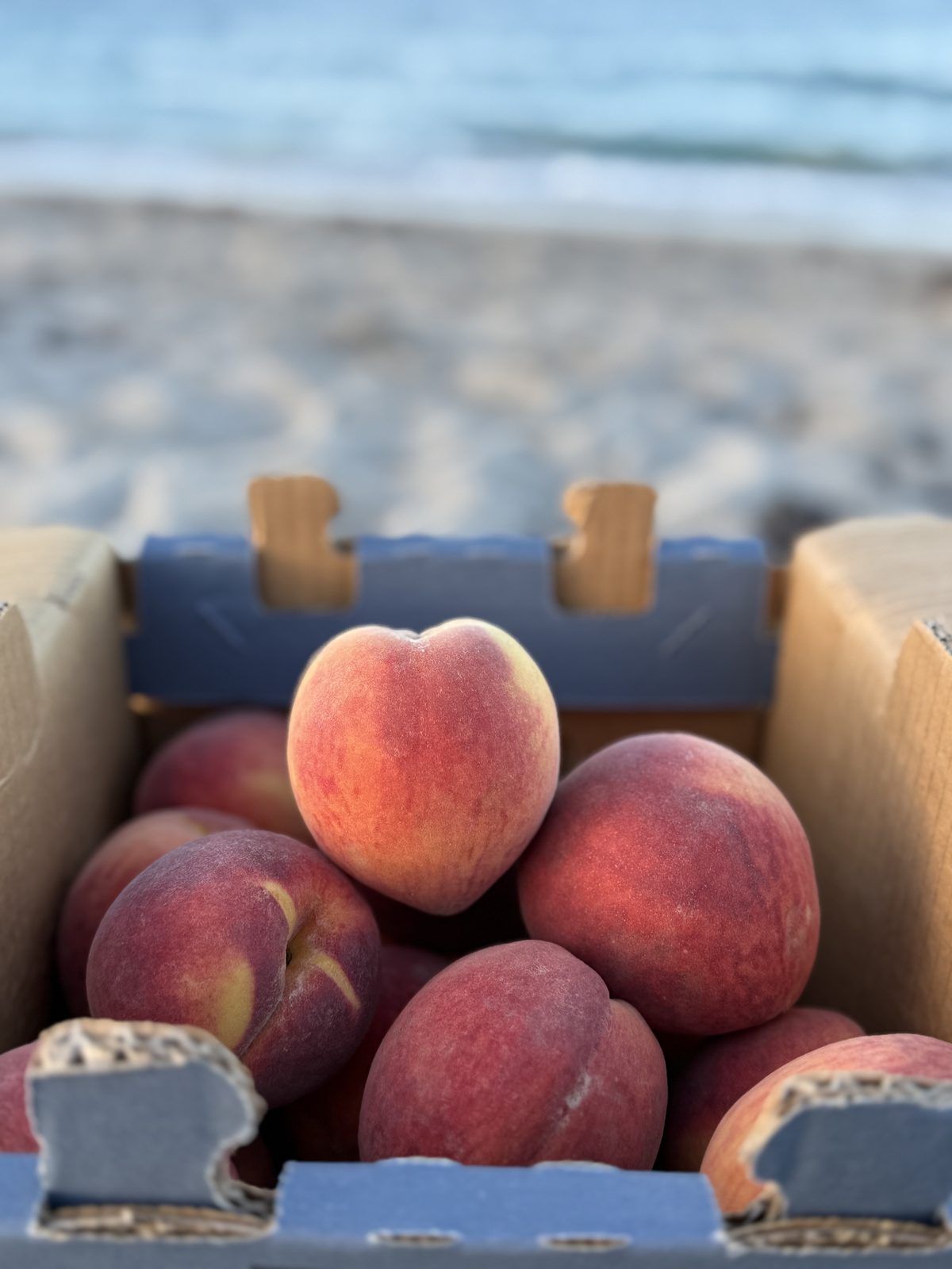Box of peaches at the beach