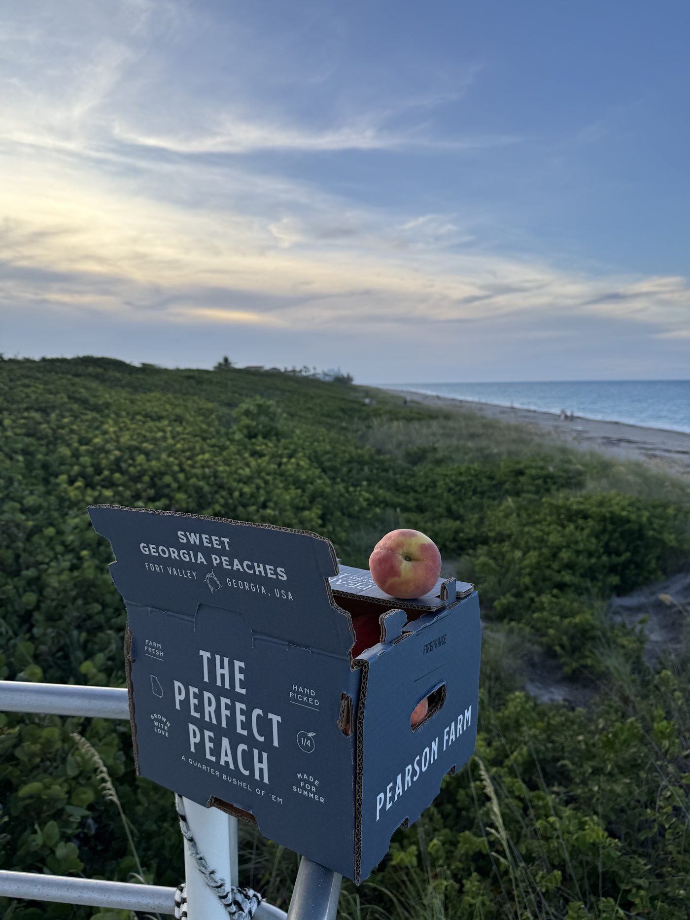 Palm Peach Co. box at the Florida beach