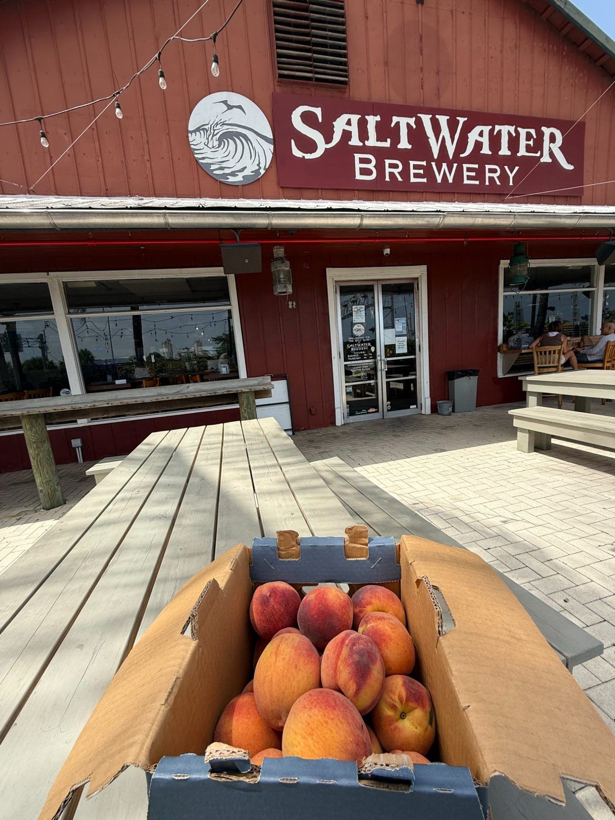 Peaches at Saltwater Brewery